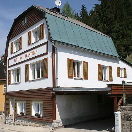 Penzion Apartmán Janov Janov nad Nisou Esterno foto